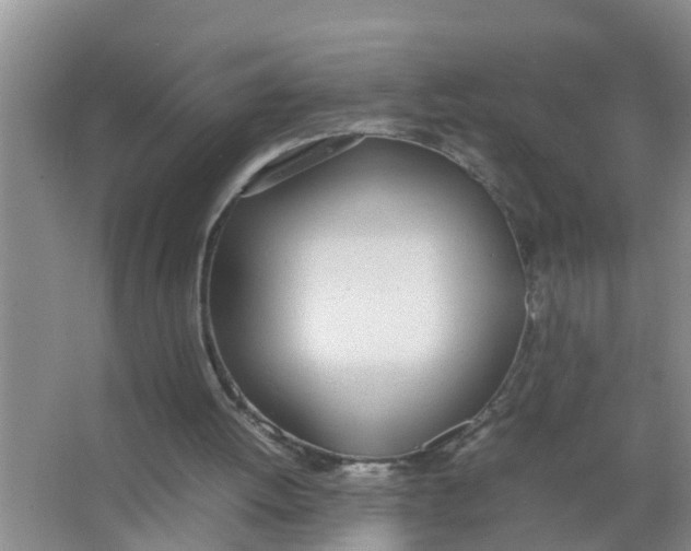 X0000066980052200604142217