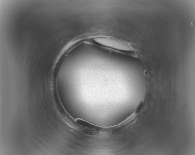 X0000066980056200604142217