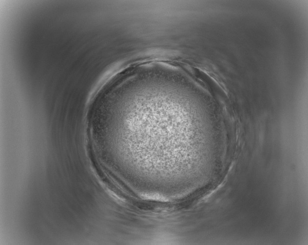 X0000066980101200604142217