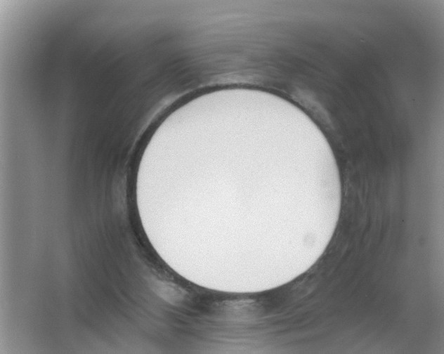 X0000066980108200604142217