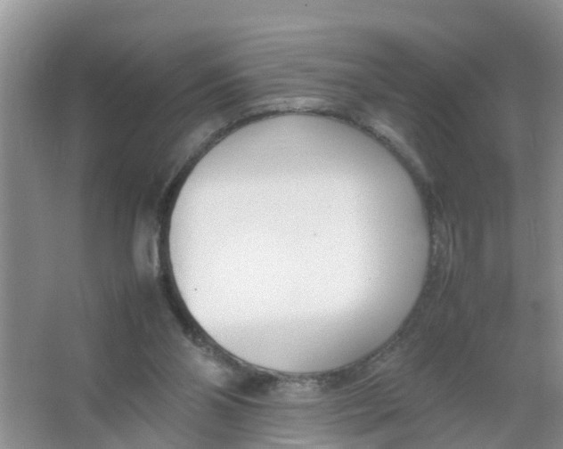 X0000066980110200604142217