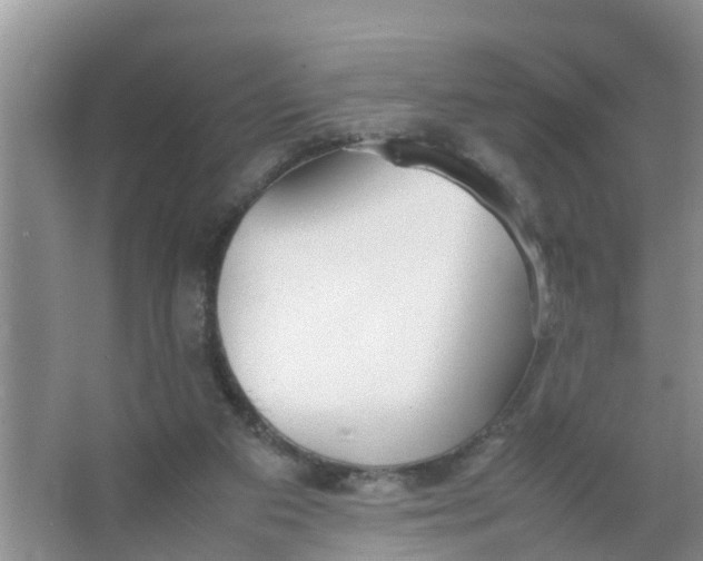 X0000066980113200604142217