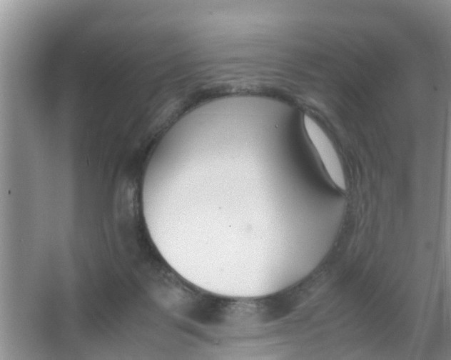 X0000066980123200604142216