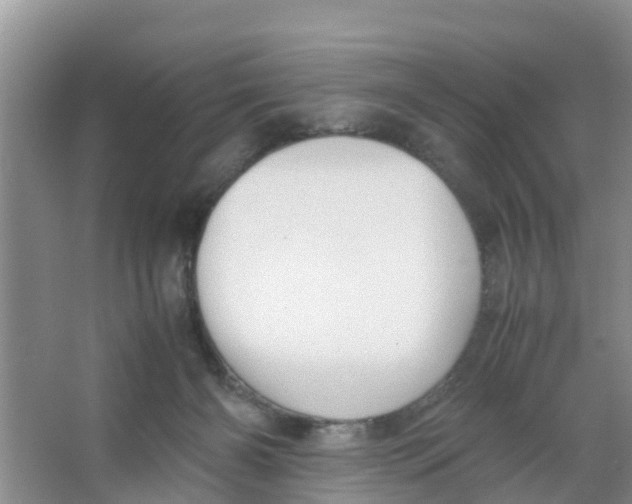 X0000066980126200604142216