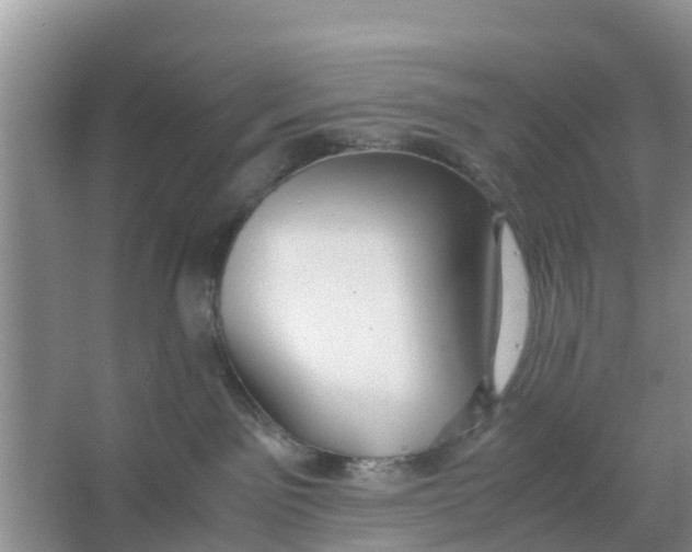 X0000066980141200604142216