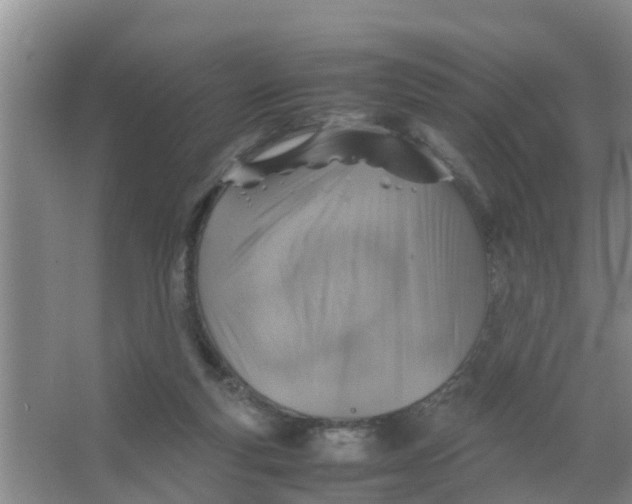 X0000066980163200604142216