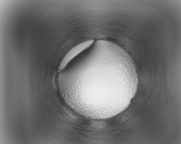 X0000066980185200604142216