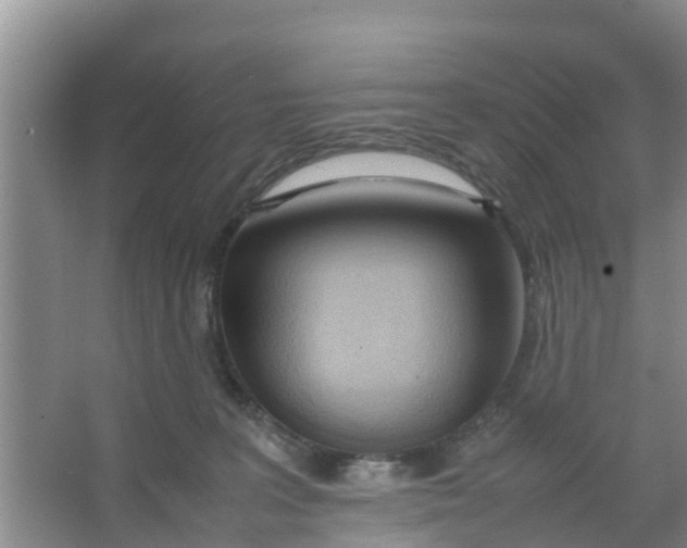 X0000066980227200604142215