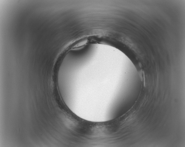 X0000066980252200604142214