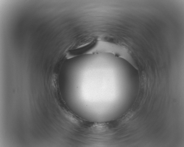 X0000066980280200604142214