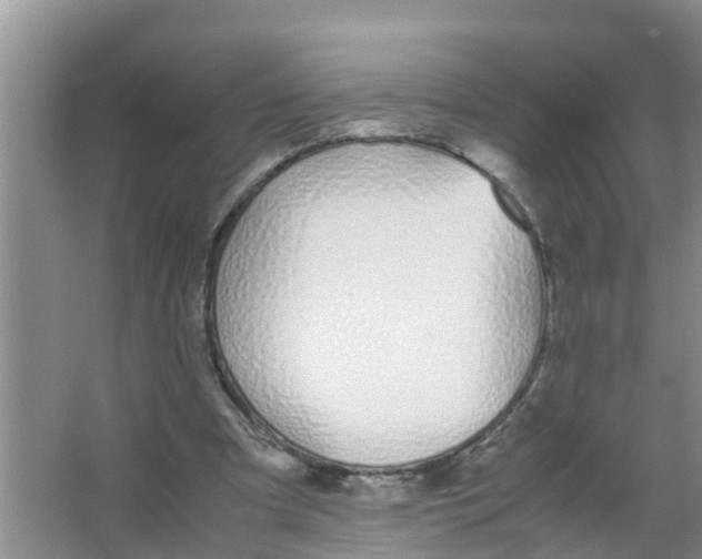 X0000066980297200604142214