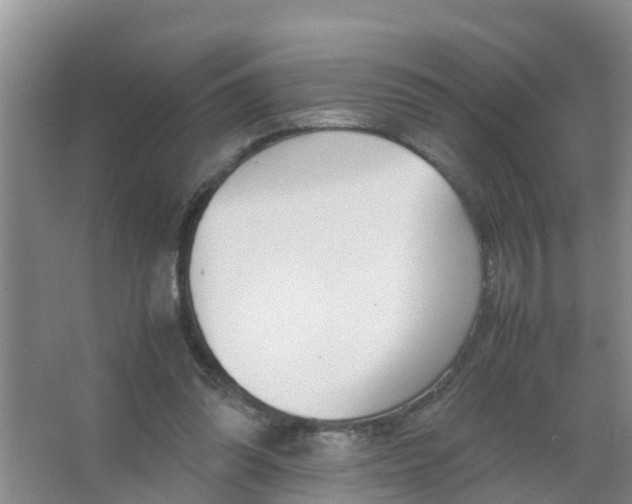X0000066980302200604142213