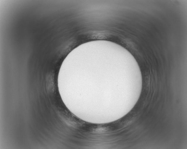 X0000066980312200604142213