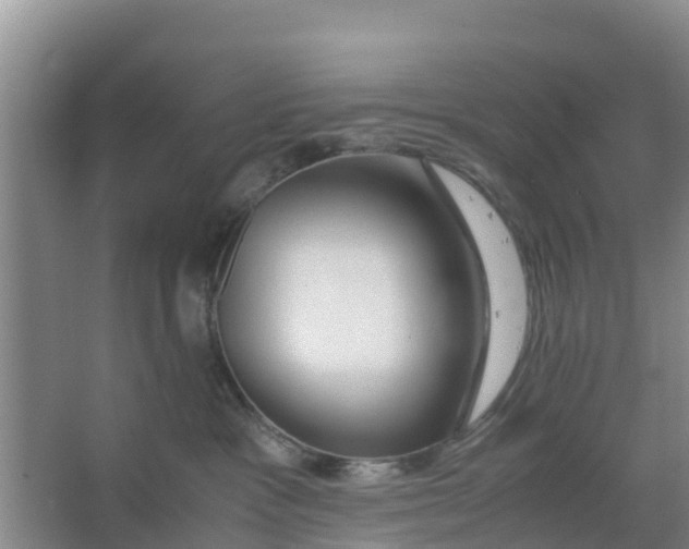X0000066980333200604142213