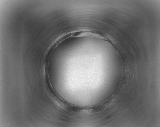 X0000066980350200604142212