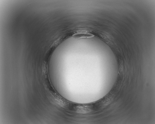X0000066980367200604142213