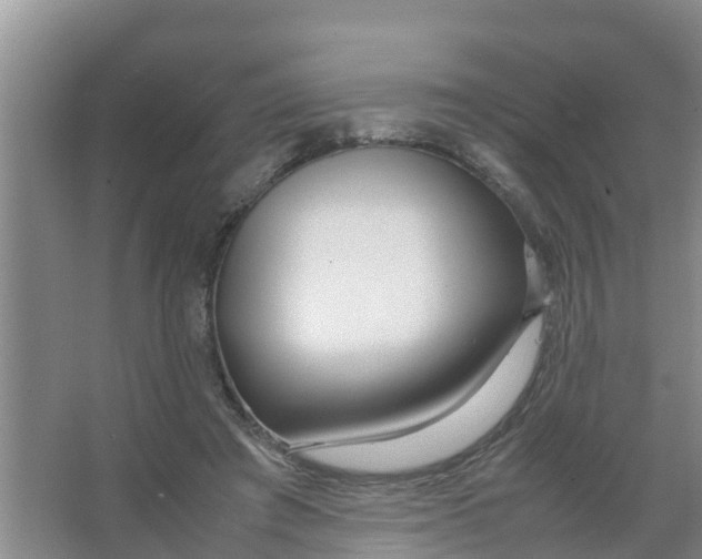 X0000066980401200604142212