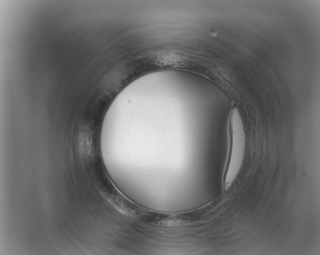 X0000066980408200604142212