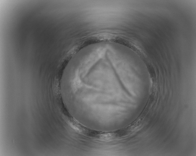 X0000066980411200604142212