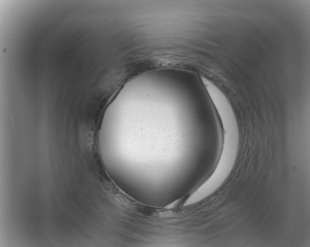 X0000066980417200604142212