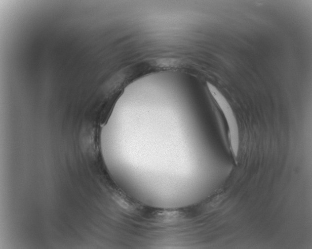 X0000066980428200604142211