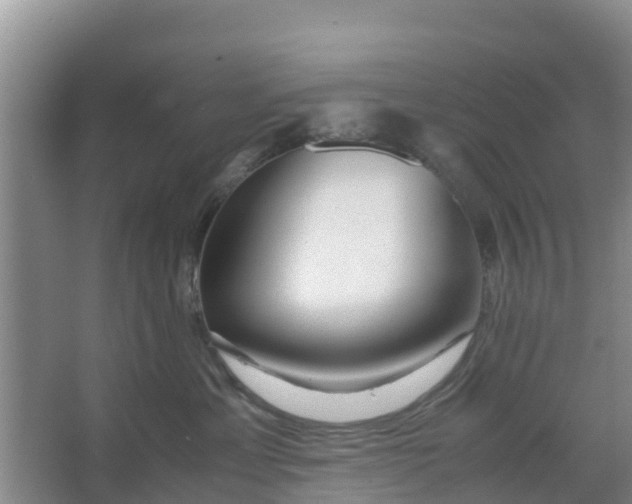 X0000066980429200604142211