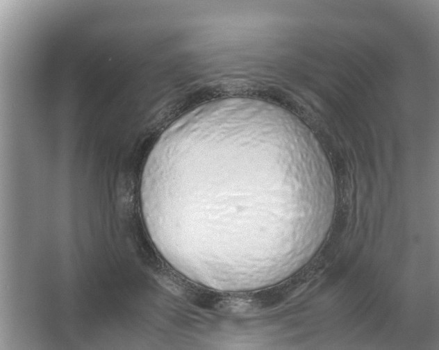 X0000066980507200604142210