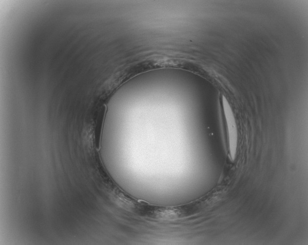 X0000066980513200604142210