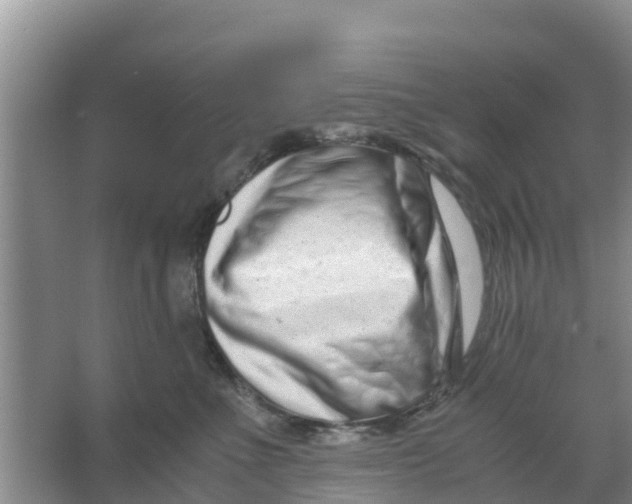 X0000066980523200604142210