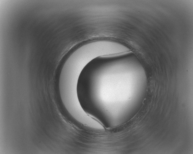 X0000066980544200604142209
