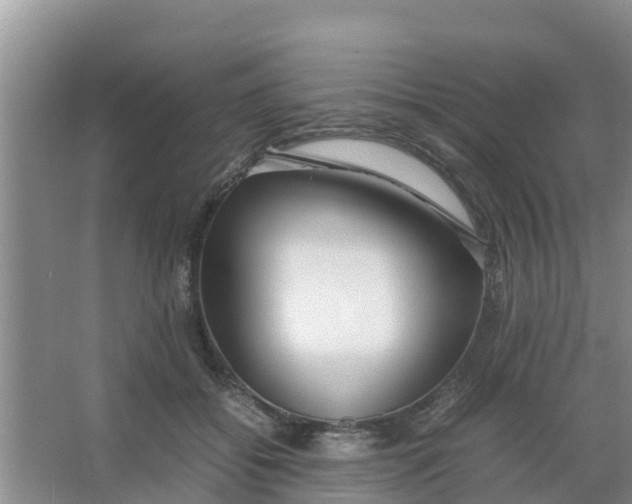 X0000066980556200604142209