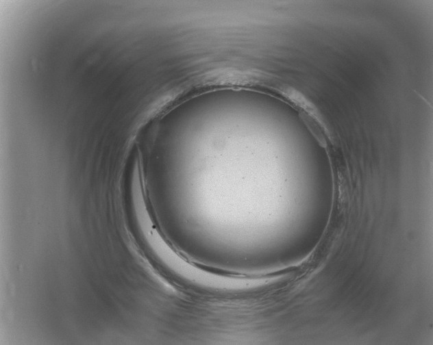 X0000066980581200604142209
