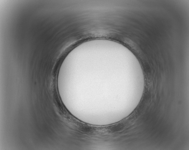 X0000066980583200604142209