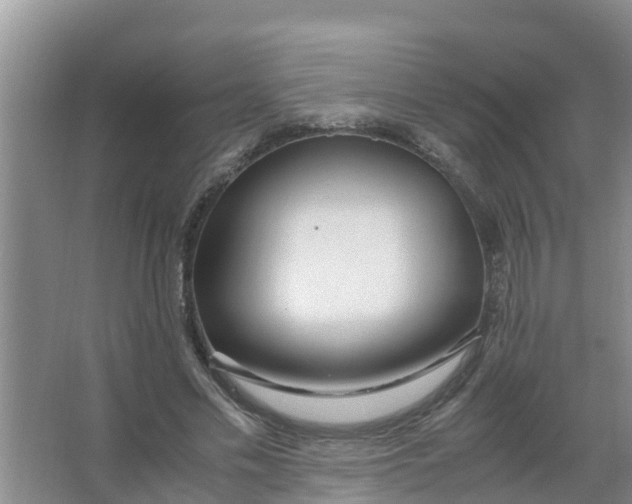 X0000066980589200604142209