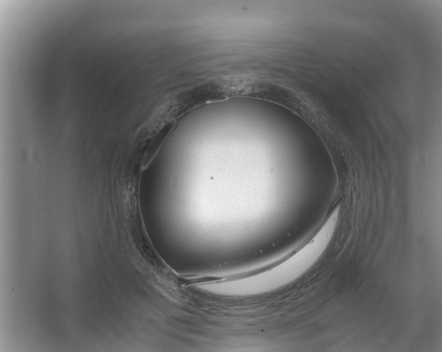 X0000066980601200604142208