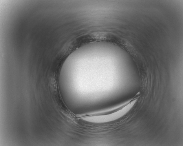 X0000066980609200604142208