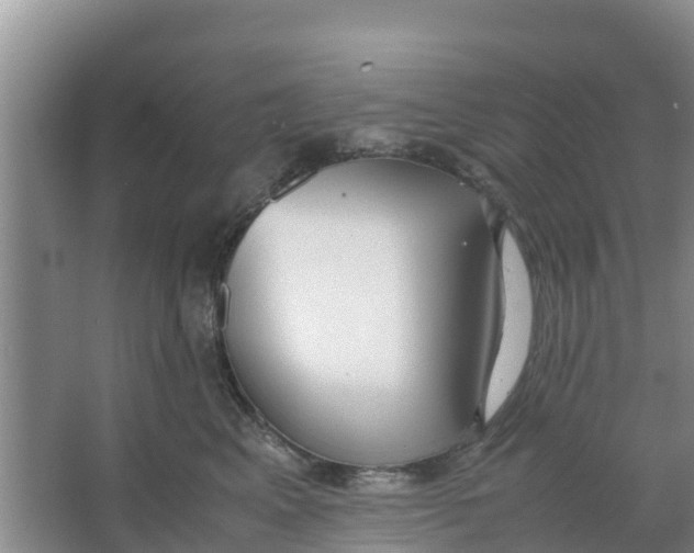 X0000066980617200604142208