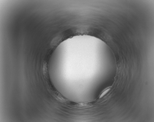 X0000066980623200604142208