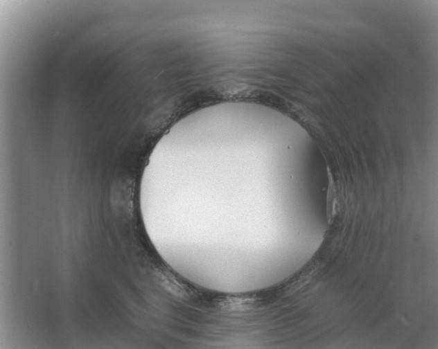 X0000066980664200604142208