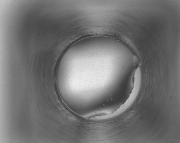 X0000066980673200604142207