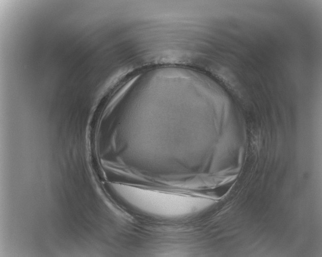 X0000066980678200604142207