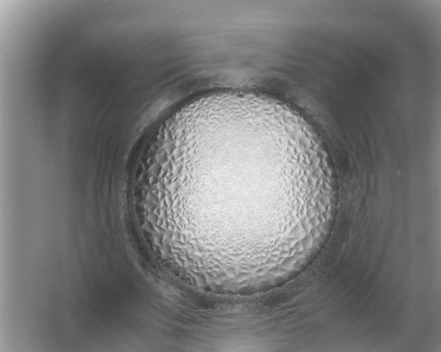 X0000066980679200604142207