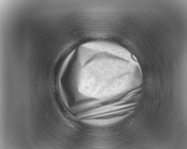 X0000066980688200604142207
