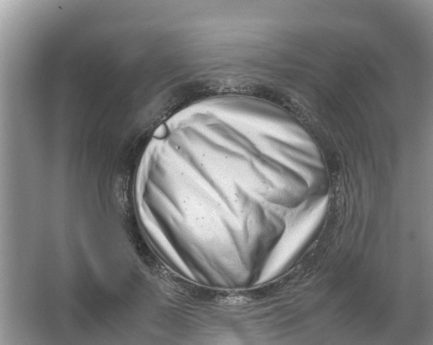 X0000066980695200604142207