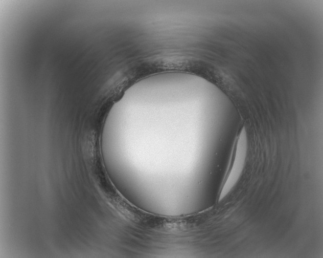 X0000066980744200604142206