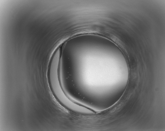 X0000066980797200604142205