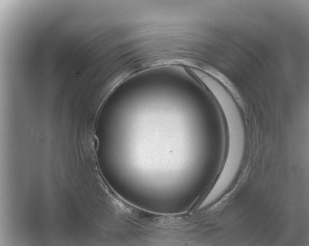 X0000066980809200604142205