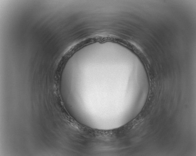 X0000066980823200604142204