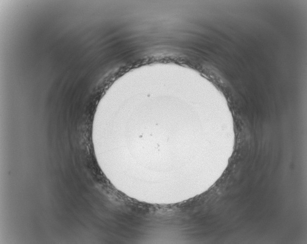 X0000066980824200604142204