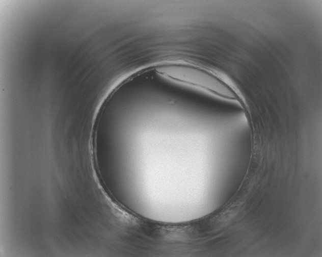 X0000066980951200604142203